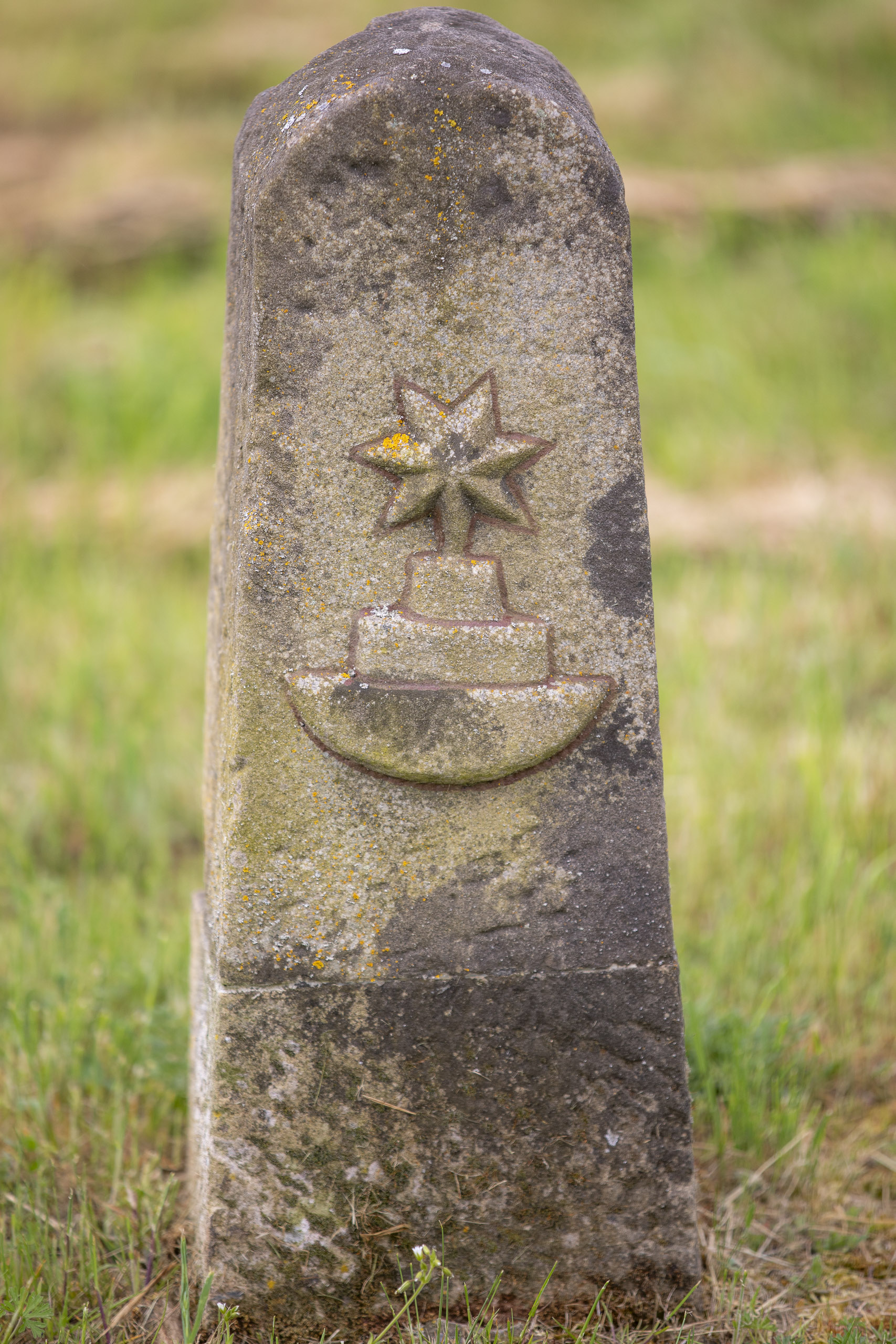 20250503135647 RD4 2547